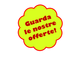 Guarda le offerte nel nostro negozio di modelli ferroviari!